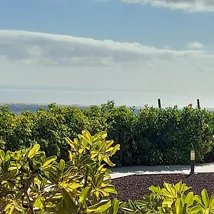 The Black Horse Canarias - Adults Only Country house Maspalomas (Gran Canaria)